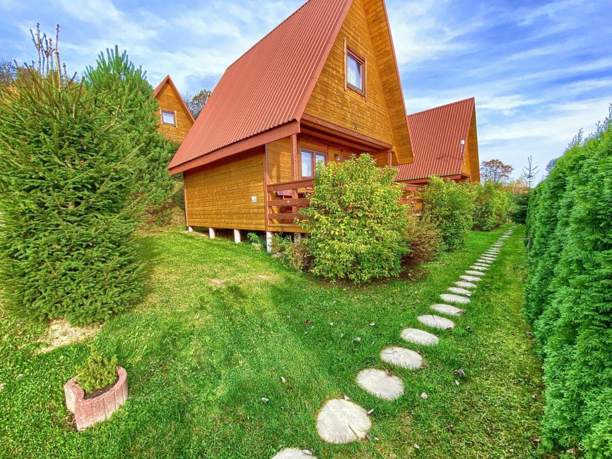 Domki Nad Solina Czarny Kot 509-797-777 Solina (Podkarpackie) Exterior foto