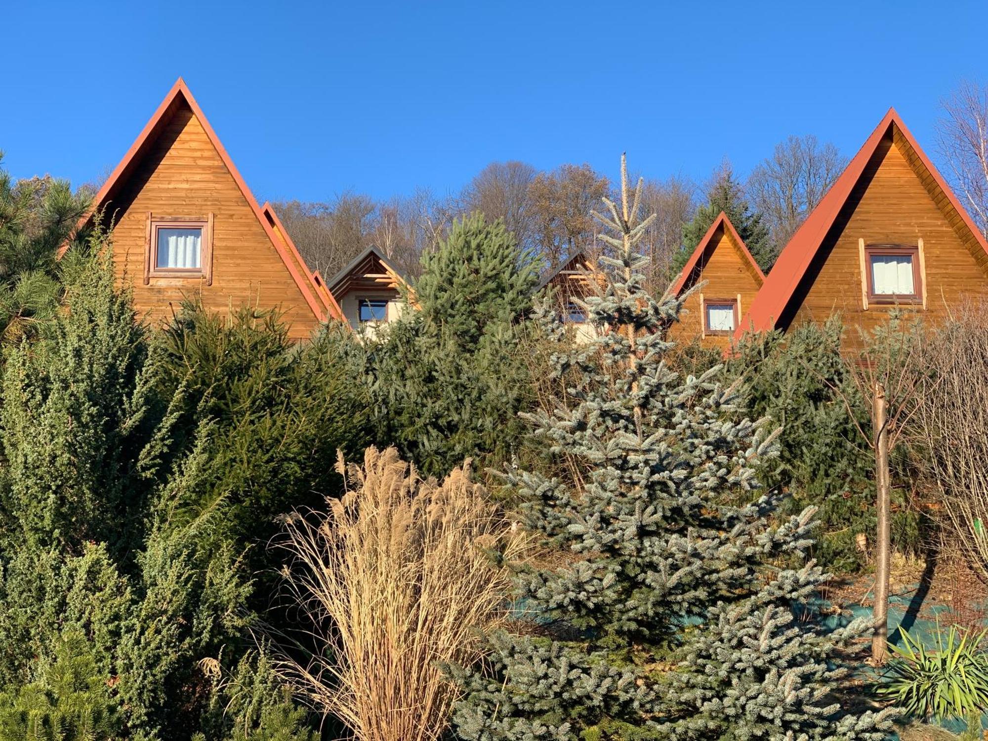 Domki Nad Solina Czarny Kot 509-797-777 Solina (Podkarpackie) Exterior foto